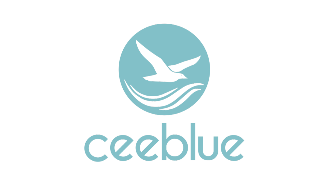 Ceeblue logo