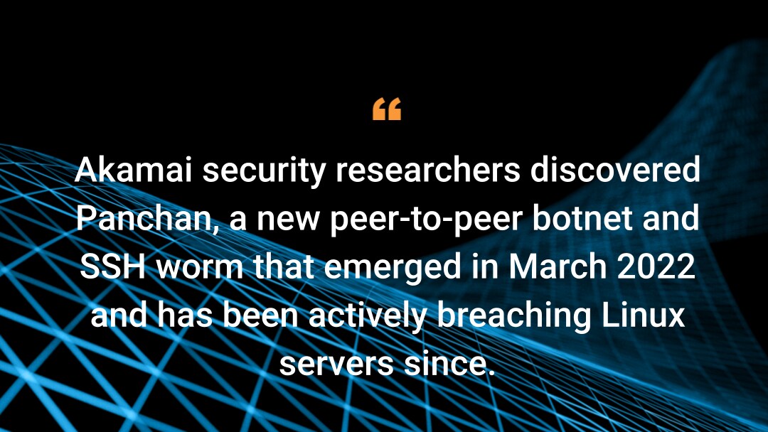 Panchan のマイニング装置：Golang ベース、ピアツーピアの新しいボットネットの誕生