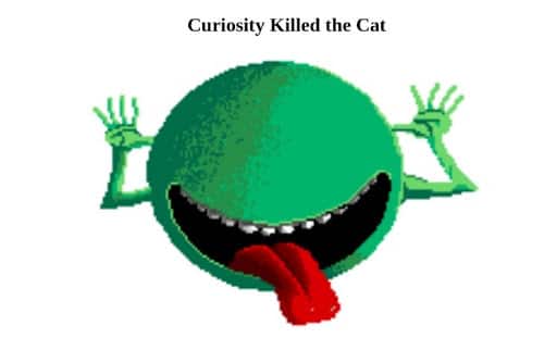 “curiosity killed the cat”라는 경고가 표시됨