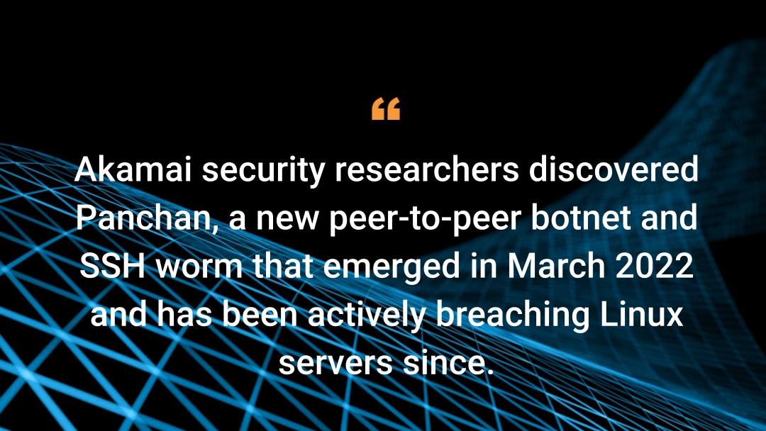 Panchan의 채굴 장치: "안녕하세요!"라고 말하는 새로운 Golang P2P(Peer-to-Peer) 봇넷